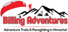 billing-adventures-logo