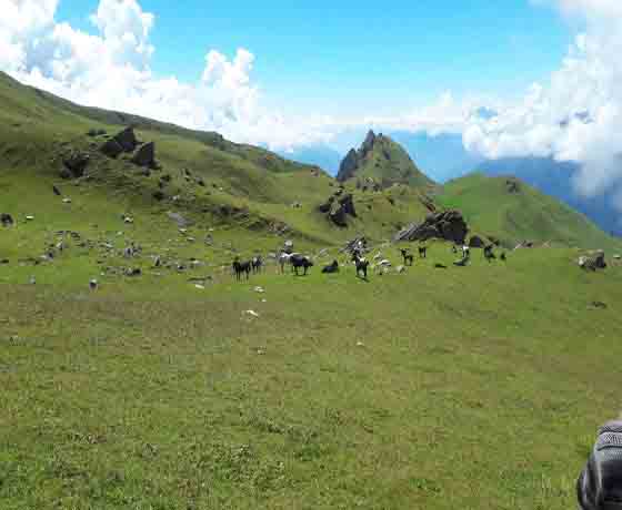 Chamba trek over Minkiani pass