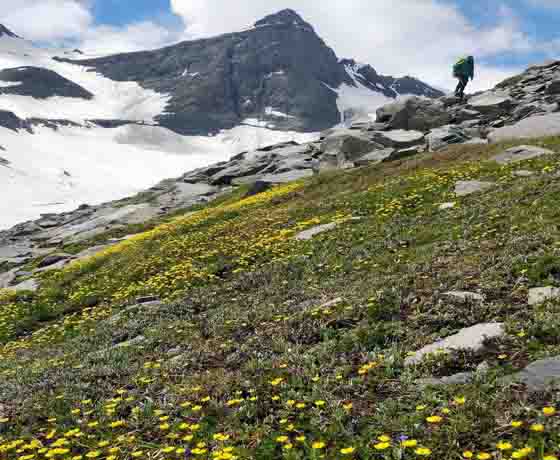 Bara-Bhangal-Trek