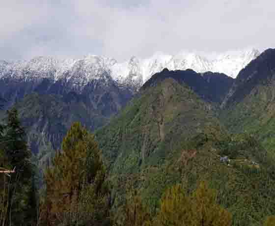 Dhauladhar Round Trek