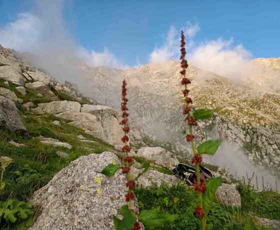 chamba-trek-over-milkiyani-pass